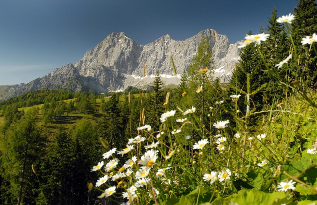 Haus Landart Lägenhet Schladming Exteriör bild